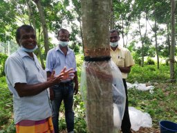 Rain Guard Training Programme